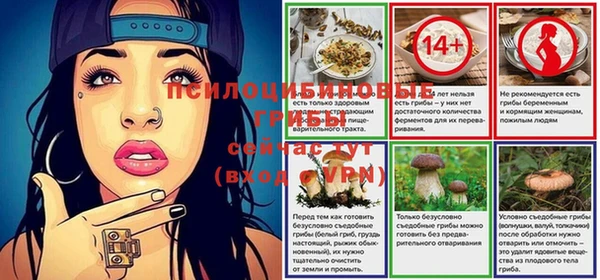 скорость Арсеньев