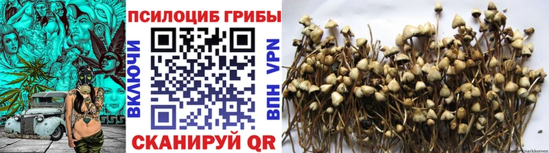 Псилоцибиновые грибы прущие грибы  хочу   Зима 