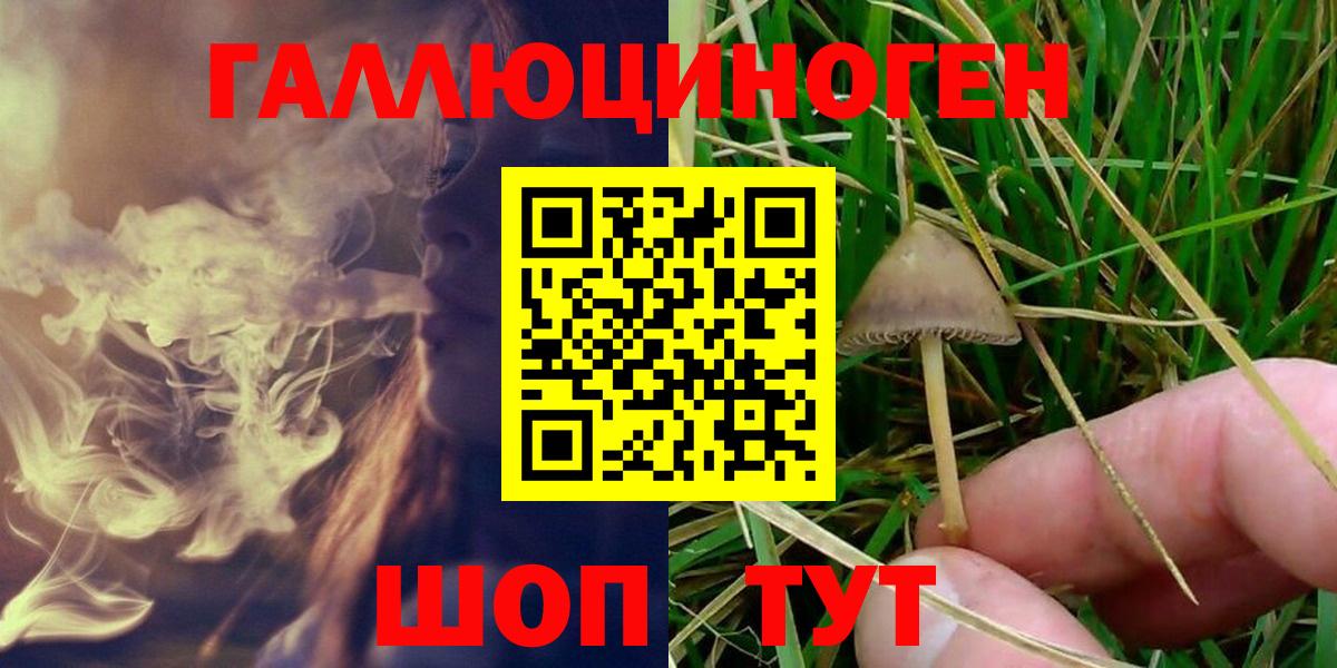 Галлюциногенные грибы GOLDEN TEACHER Зима