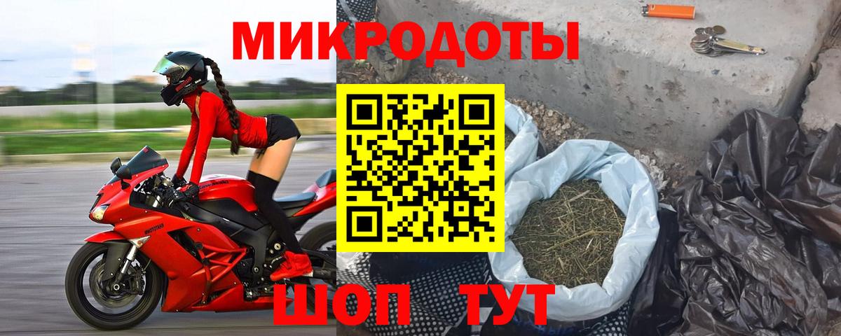Псилоцибиновые грибы Psilocybine cubensis  Вход с VPN  Зима 